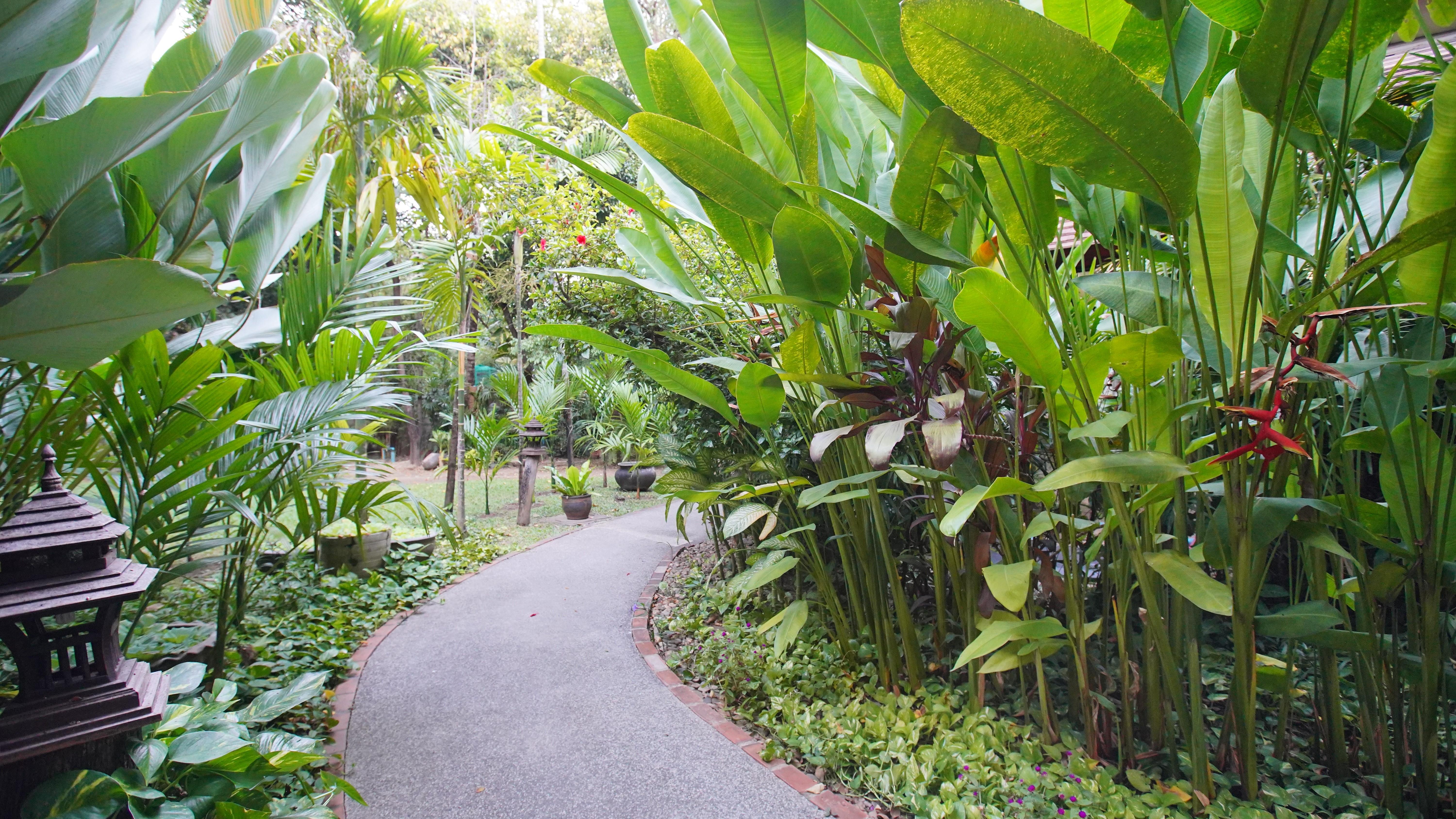 Yaang Come Village Hotel — Photos 1